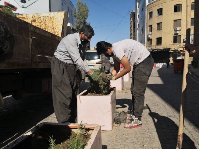 ڕازاندنەوەى شەقام و شوستەکان، بە چاندنی گوڵ و نەمام 