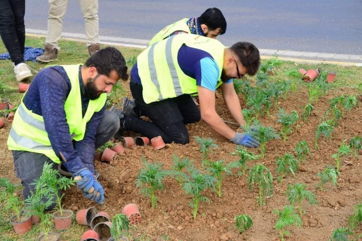 هەولێر... چاندنی زیاتر لە (20 هەزار) گوڵ لە شەقامە گشتیەکان