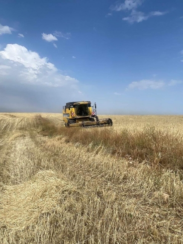 هەولێر … ڕێنمایى جووتياران بەر لە دروێنەکردن 