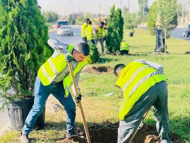 چاندنی 450 داری جۆراو جۆر 