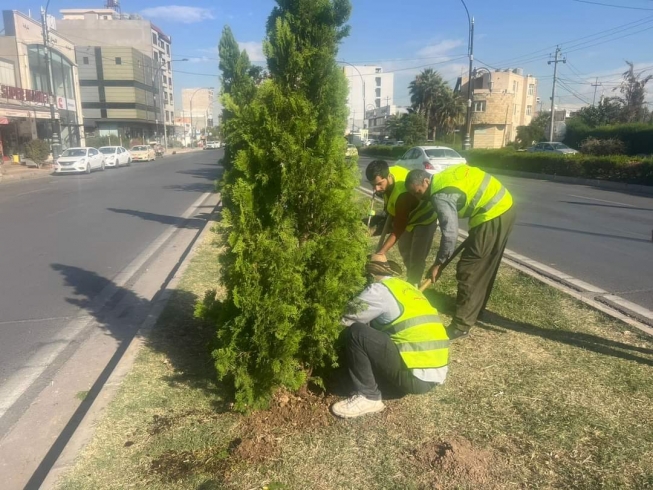 چاندنی دار