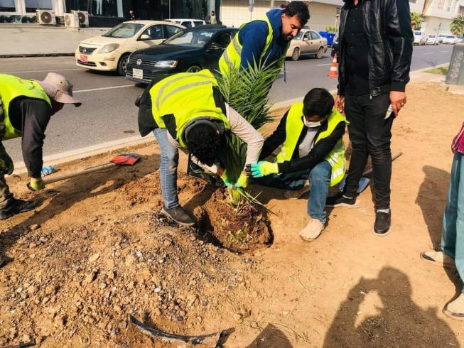 هەولێر... زیادکردنی ڕێژەی سەوزایی بەردەوامە