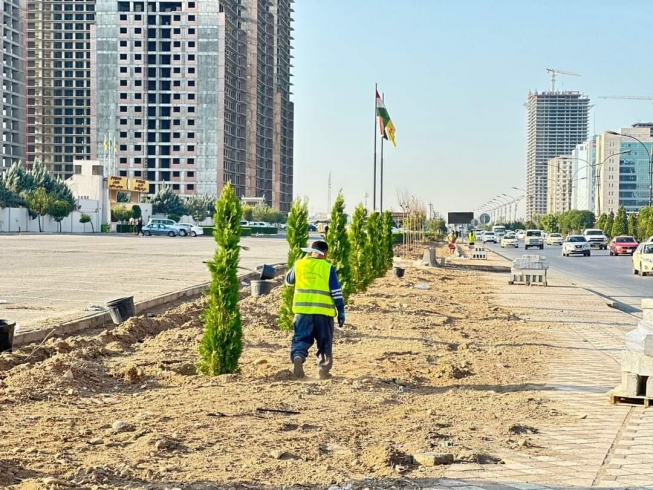 چاندنی 100 داری گەورە، لە دوورگەی ناوەندی هەولێر ـ پیرمام
