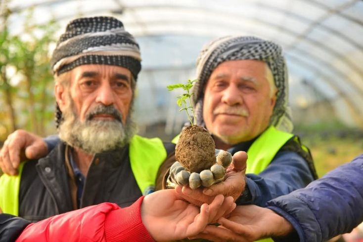 زیاتر کردنی ڕێژەی بەرهەم هێنانی دارو گوڵ