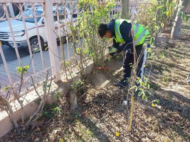 لە پێناو زیادکردنی ڕێژەیی سەوزایی و بایەخدانی زیاتر بە جوانکاری و بڕین و تەقلیمکردن