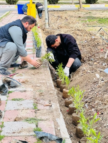 چاندنی ٥٠٠ نمام 