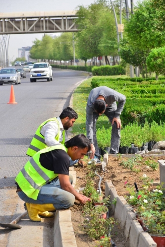 چاندنى 1000 گوڵى جۆراو جۆر