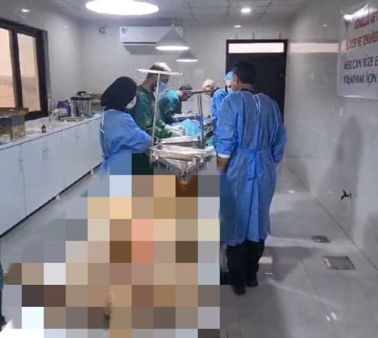شێڵتەرى ئاژەڵى بێلانە.. تیمێکی ڤێتەرنەری خۆبەخش لە کوردانی باکوور گەیشتن