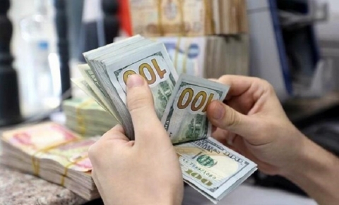 البنك المركزي: ارتفاع سعر الدولار مؤقت