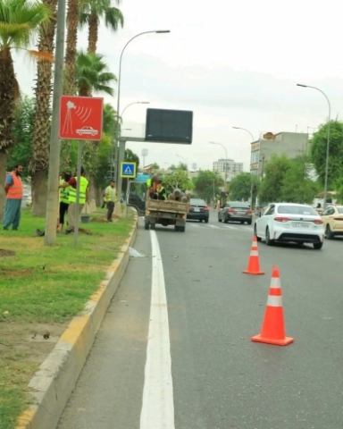 هەزاران دار بۆ سەوزکردنی هەولێر دەچێنرێن