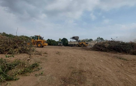 Cleaning and disposal of about (100 tons) of cut-down trees and other garden waste of Sami Abdulrahman Park