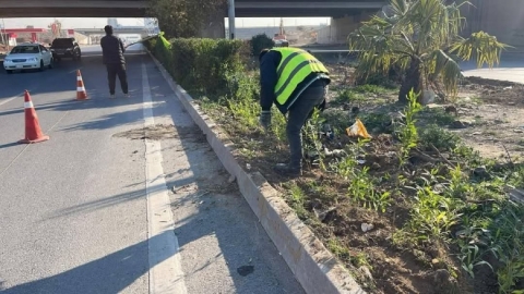 بە ئامانجی زیاتر سەوزکردنی شەقامەکان و ڕێکخستنەوەی پارک و باخچەکان، لەلایەن تیمەکانی ئەندازەی پارکەکان دەستکرابە:-