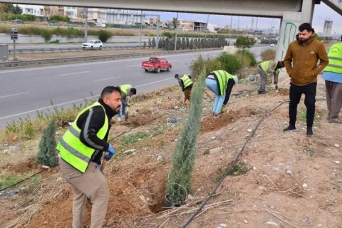 ڕێژەی سەوزایی لە بەشێکی دیکەی شەقامی 120 مەتری زیاد دەکرێت 