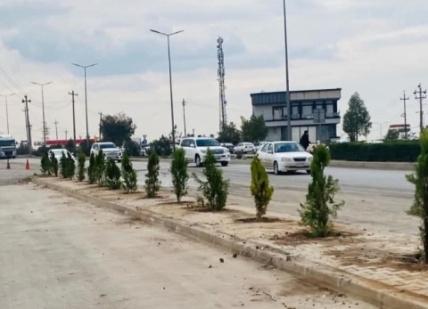 خەبات..  چاندنی 1000 داری سنەوبەر