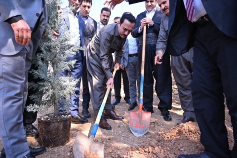 هەولێر   هەڵمەتێکی گەورەی دارچاندن بەرێوە چوو