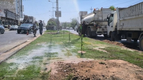 بە ئامانجی زیادکردنی ڕێژەی سەوزایی لە شاری هەولێر