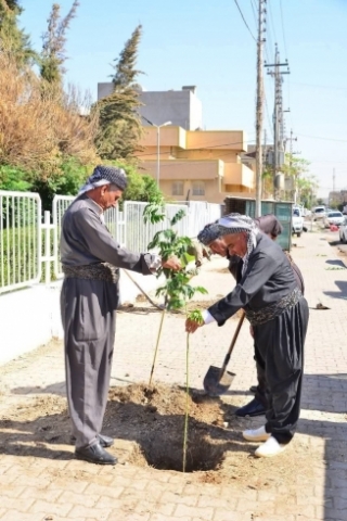 لە چوارچێوەی هەوڵەکانی زیادکردنی ڕێژەی سەوزایی لە شاری هەولێر،