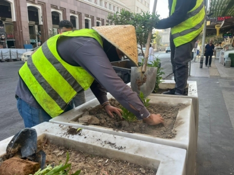 لە چوارچێوەی هەوڵەکانی زیادکردنی ڕێژەی سەوزایی لە شاری هەولێر و جوانترکردنی سیمای شەقام و شوێنەگشتیەکان