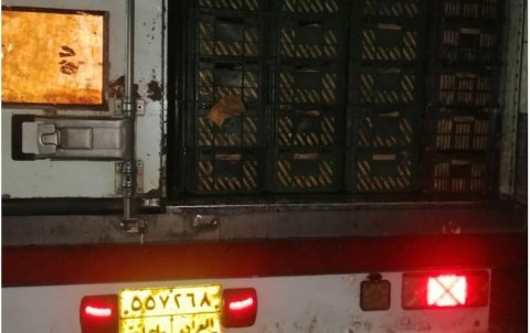  To encourage local products, 25 tons of cabbage product will be sent out of the region's borders