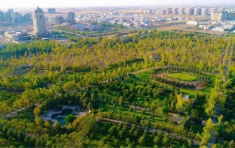 حكومەتی هەرێم دوو دارستانی ستراتیجی بنیات دەنێت...  