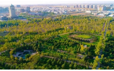 7 ملیۆن دار لە دەوروبەری هەولێر، ستراتیژێكی نوێ بۆ ڕووبەڕووبوونەوەی گۆڕانی کەشوهەوا