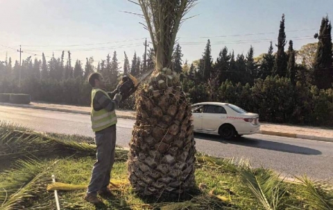 Erbil : Beautification and reorganization of the streets of the capital began
