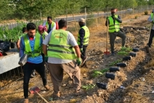 لە پێناو زیادکردنی ڕێژەی سەوزایی، سەدان نەمامی دیكە لە شەقامی 120 مەتری خێرای هەولێر لەلایەن تیمەكانی ئەندازەی پارکەکان چاندرا ....