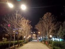 پارکی شەهید سامی عبدالرحمن ڕووناک کرایەوە