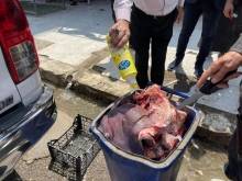 لەهەولێر (10) شوێنی فرۆشتنی گۆشت داخرا