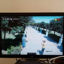 بەبڕیاری پارێزگاری هەولێر، سەرجەم پەیکەرەکانی پارکی منارە نۆژەنکرایەوە