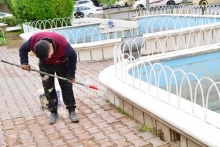 نۆژەنکردنەوەی نافوورەکان