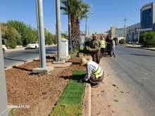 لە چوارچێوەی سەوزکردنی دوورگەی ناوەندیی شەقامە گشتیەکانی شاری هەولێر