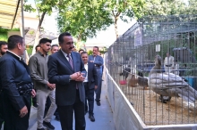 هەولێر …. نمایشی پەلەوەری جوانی ڕەسەنی کوردی