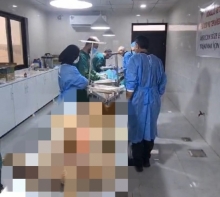 شێڵتەرى ئاژەڵى بێلانە.. تیمێکی ڤێتەرنەری خۆبەخش لە کوردانی باکوور گەیشتن