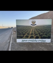 پرۆژەی پشتێنەی سەوزایی دەستی پێكردووە