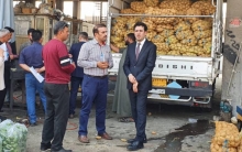 In Erbil, 30 offices were punished for violating the guidelines