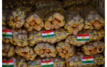 Kurdistan Region starts potato exports to the UAE
