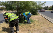 هەولێر.. دوورگە ناوەندیەکانی شار خاوێن دەکرێتەوە 