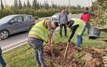  Preparation of pits and planting of (Magnolia tree) in the median of Halabja Shahid Street and in the median of Zagros Street